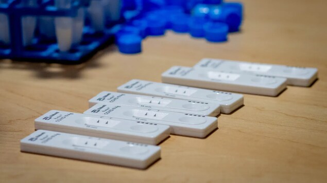 Mga halimbawa ng COVID-19 rapid tests.