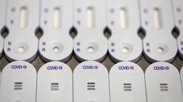 Une douzaine de cartouches servant à effectuer un dépistage de COVID-19 sont alignées sur une table.