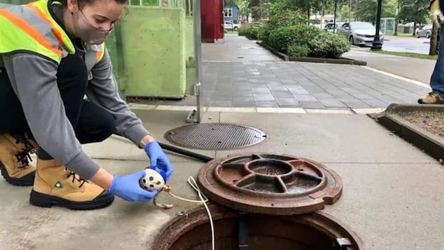 A researcher samples sewage for signs of the coronavirus. Wastewater monitoring, which looks for bits of the SARS-CoV-2 virus shed in feces, has been offering a way to track COVID-19 trends in an area since PCR testing facilities became overwhelmed. 