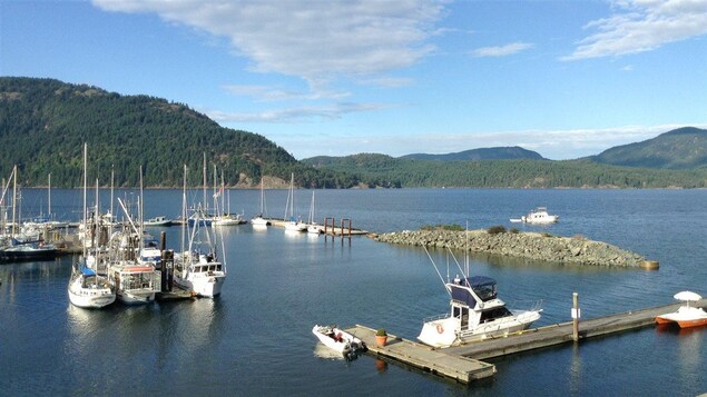 La marina de Cowichan Bay sur l'île de Vancouver.