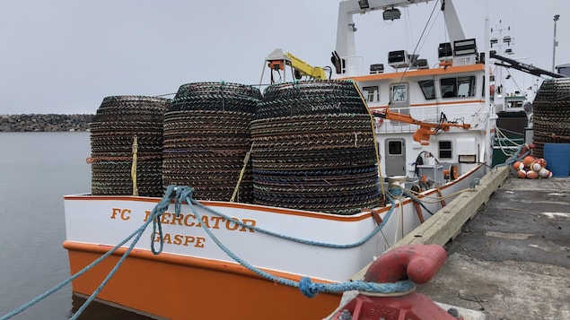 Le Fonds des pêches du Québec tarde à prendre son envol - Vimarsana News