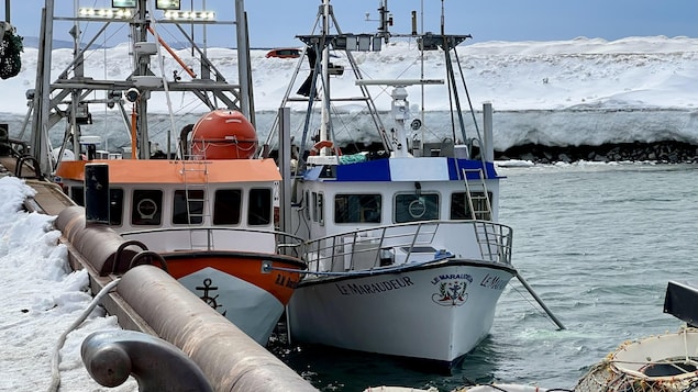 Les crabiers du Québec en colère contre Pêches et Océans