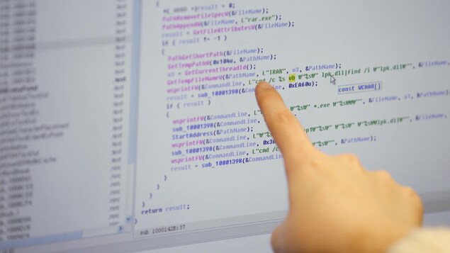 Un expert en informatique examine le codage d'un site web. Un expert en informatique examine le codage d'un site web.