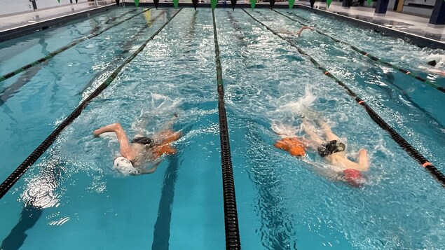 Deux nageurs dans un corridor de piscine.
