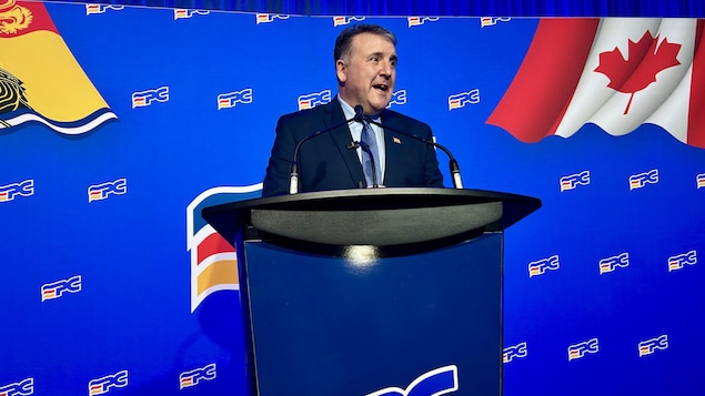 Daniel Allain est élu chef du Parti progressiste-conservateur du Nouveau-Brunswick