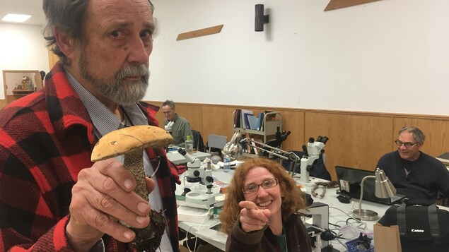 Les mycologues David Malloch et Emma Harrower (de gauche à droite) dans le laboratoire de BiotaNB, en juin 2018. Les mycologues David Malloch et Emma Harrower (de gauche à droite) dans le laboratoire de BiotaNB, en juin 2018.