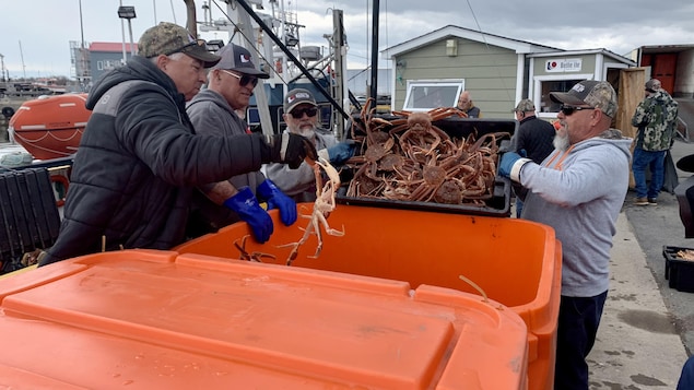 La cadence des débarquements de crabe dans la Péninsule acadienne « doit ralentir »