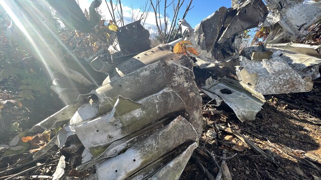 Des morceaux de métal d'un avion, usés par l'écrasement et le temps, jonchent le sol.