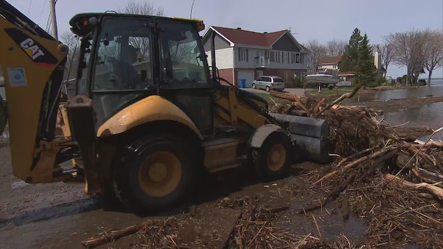 Tracteur ramassant débris de bois Tracteur ramassant débris de bois