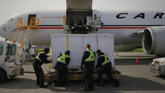 4 hommes de dos font descendre la boite de l'avion 4 hommes de dos font descendre la boite de l'avion