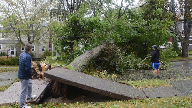 La tempête Nicole pourrait toucher l’Atlantique ce week-end