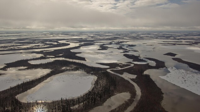 Vue à vol d'oiseau des nombreux cours d'eau et plans d'eau dans le delta du fleuve Mackenzie, au printemps.