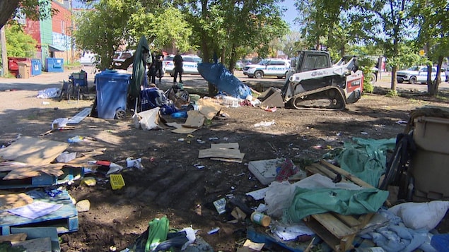 Le démantèlement d'un campement de sans-abri à Regina, en Saskatchewan, le 7 juin 2023.