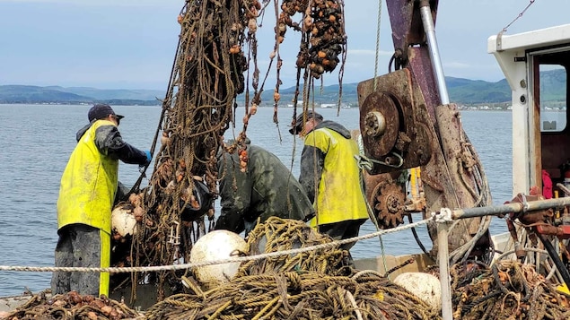 Des engins fantômes retirés des eaux de la baie des Chaleurs