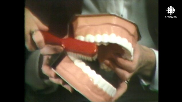 Démonstration d'un brossage de dents sur un modèle grand format reproduisant la mâchoire et les dents.