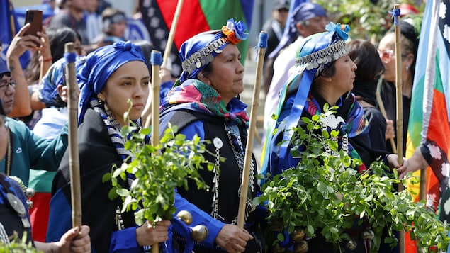 Mujeres mapuches