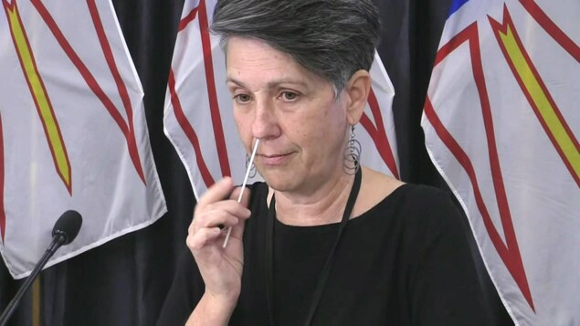 Le retour en classe pourrait se faire le 24 janvier à Terre-Neuve-et-Labrador