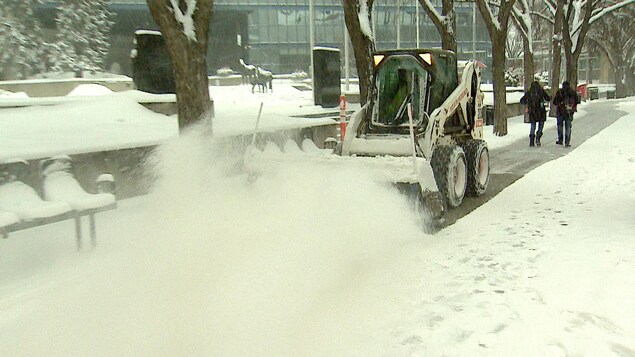 « Bonhomme Déneige » : Calgary dévoile les nouveaux noms de ses chasse-neiges