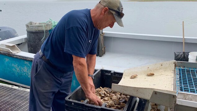 Un Parc Industriel Sur Mer Pour Developper L Aquaculture Radio Canada Ca