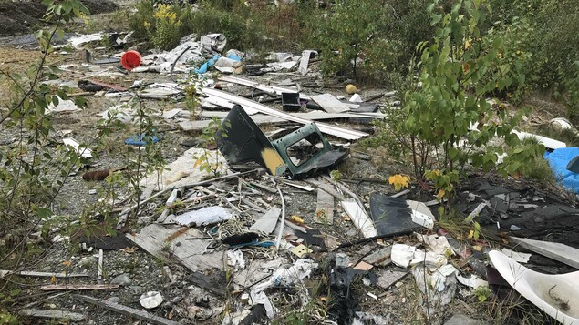 Des dizaines de tonnes de déchets constituent un dépotoir sauvage illégal en forêt. Des dizaines de tonnes de déchets constituent un dépotoir sauvage illégal en forêt.