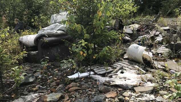 Des déchets sont empilés pour former un dépotoir sauvage illégal en forêt. Des déchets sont empilés pour former un dépotoir sauvage illégal en forêt.