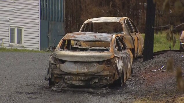 Des arbres et voitures brûlés à Upper Tantallon, Nouvelle-Écosse.
