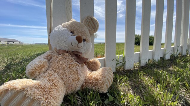 Une peluche laissée au cimetière du pensionnat autochtone de l'École industrielle de Regina, en Saskatchewan, en mémoire des enfants décédés.