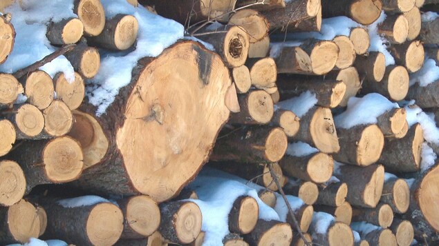 Corde de bois recouverte de neige.