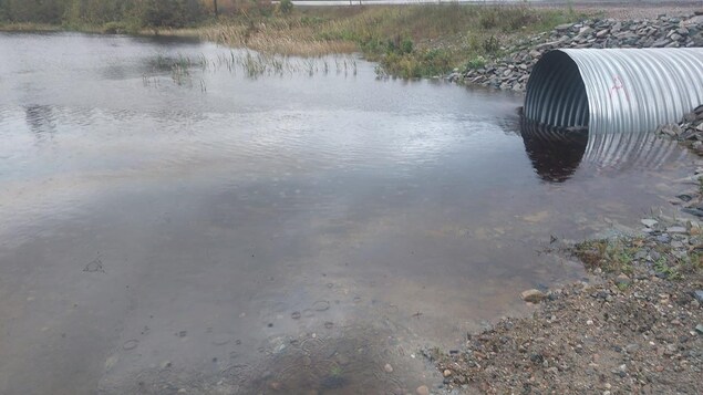 Plus de 40 % des rivières en Ontario ont une eau de mauvaise qualité