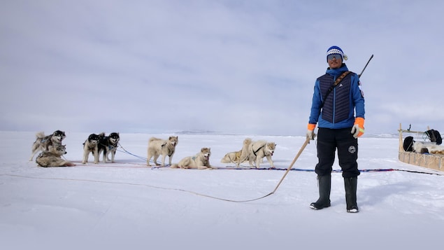 Devon Manik est debout sur la banquise, un fouet à la main devant son traîneau avec ses chiens, au mois de juin à Resolute Bay, dans le nord du Nunavut.