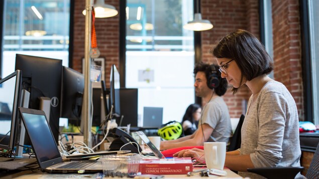 Des employés de Dialogue travaillent sur leurs ordinateur dans un bureau de style industriel avec des murs en brique rouge. Des employés de Dialogue travaillent sur leurs ordinateur dans un bureau de style industriel avec des murs en brique rouge.