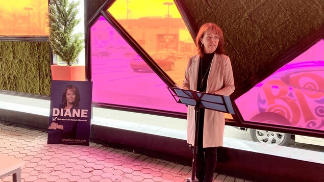 Diane Dallaire veut une Ville novatrice dans la lutte aux changements climatiques