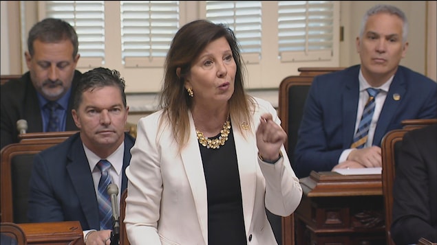 Diane Lamarre, porte-parole du Parti québécois en matière de santé Diane Lamarre, porte-parole du Parti québécois en matière de santé