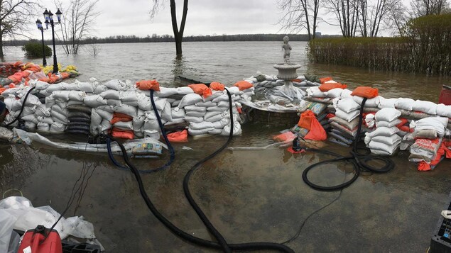 Sur cette photo, on peut voir une digue de sacs de sable, sur le bord de la rivière des Outaouais, à Gatineau, en plein milieu d'un jardin.