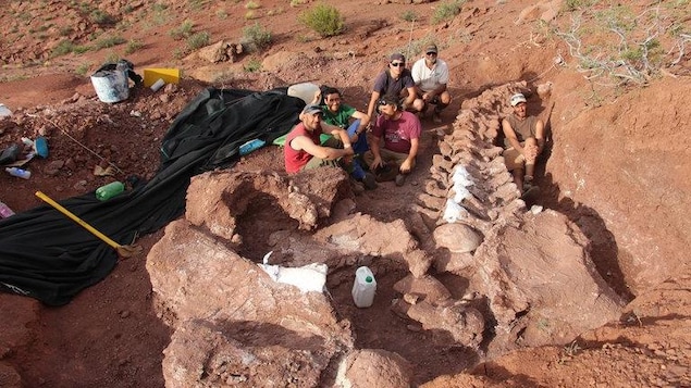 Des paléontologues prennent la pose avec les ossements fossilisés du « Patagotitan mayorum ».