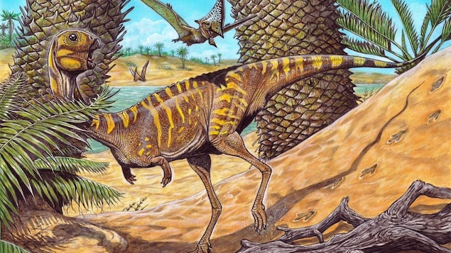 Une nouvelle espèce de dinosaure sans dents découverte au Brésil