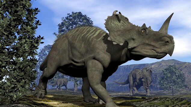 Représentation artistique d'un Centrosaurus, un dinosaure du groupe des cératopsiens.