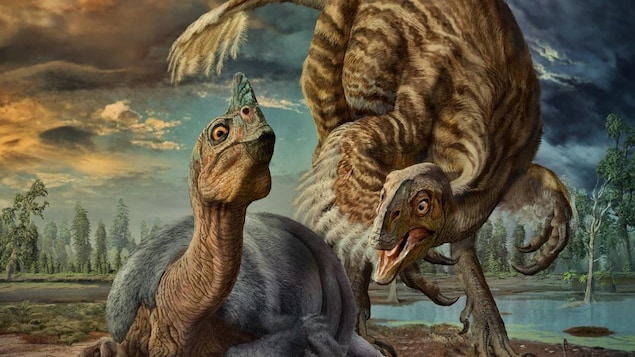 Une reproduction du Beibeilong Sinensis, une nouvelle espèce de dinosaure identifiée