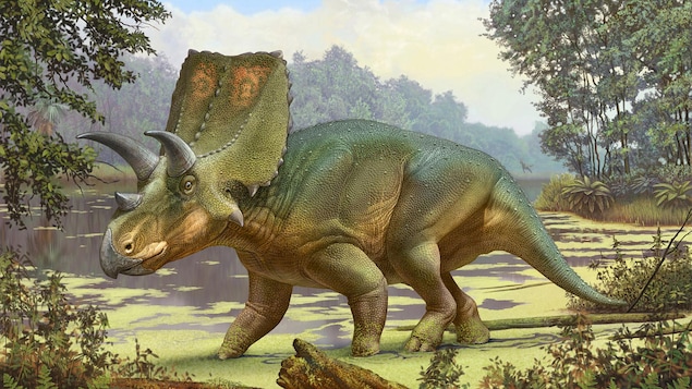 Un « ancêtre perdu » du Triceratops découvert au Nouveau-Mexique