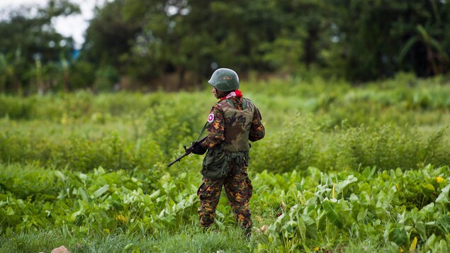 Un homme en uniforme dans de hautes herbes, de dos, avec une arme à feu.