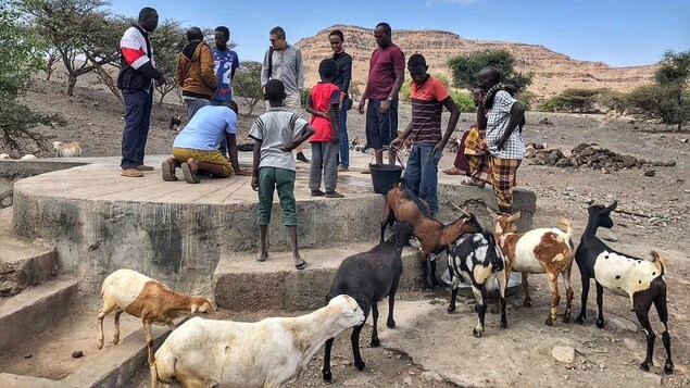 Changements climatiques : Ottawa et Berlin demandent aux pays riches de faire plus