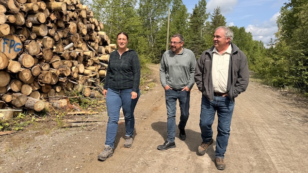 Une coalition inédite s’unit pour réinventer le régime forestier ...