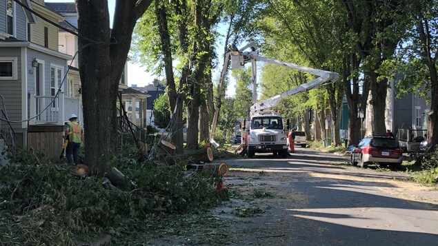 Un camion et des monteurs de ligne dans une rue d'Halifax jonchée de débris d'arbres.