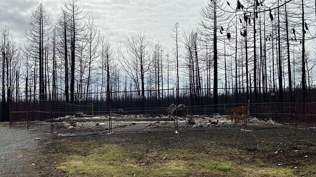 Une clôture de métal entoure les décombres d'une structure qui a complètement brûlé, autour d'arbres dégarnis.