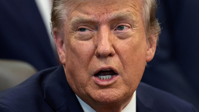  Trump menace d’imposer de nouveau tarifs contre le Canada en raison des feux de forêt 