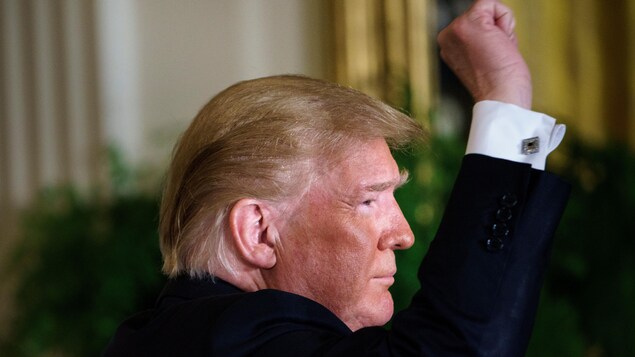 Donald Trump, de profil, lève un bras dans les airs, en signe de victoire.