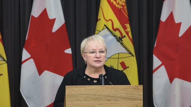La ministre de la Santé du Nouveau-Brunswick, Dorothy Shephard, le 26 novembre 2020.