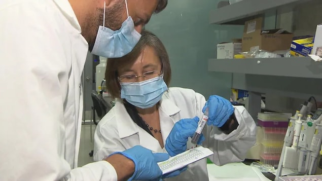 Dr. Luda Diatchenko, professor of dentistry and medicine at McGill University, conducted a study that included blood samples of patients with back pain, to look for differences between those who developed chronic pain and the ones who didn't. (Louis-Marie Philidor/CBC)