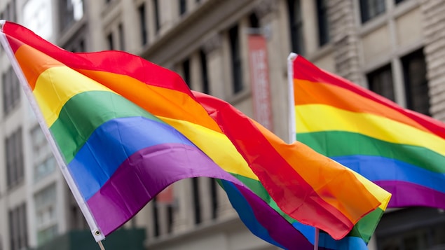 Des drapeaux de la fierté LGBTQ+ en avant d'un bâtiment lors d'une manifestation.