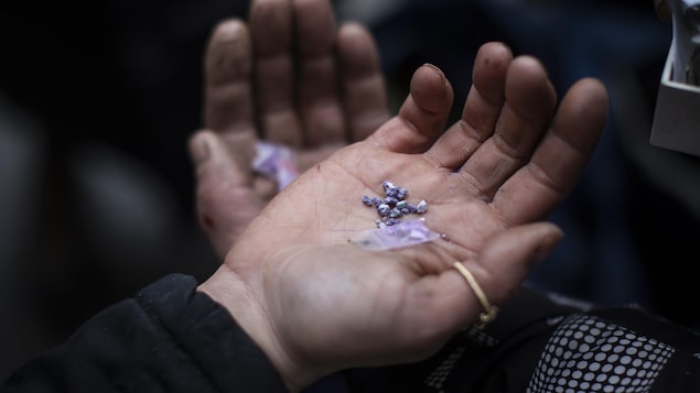 Crise des opioïdes : 179 morts en avril, un record en Alberta